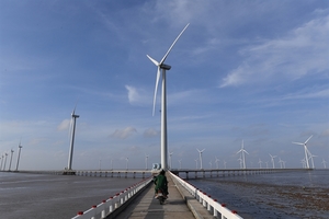 Ministry proposes temporary halt on appraisal, approval for offshore wind power project surveying