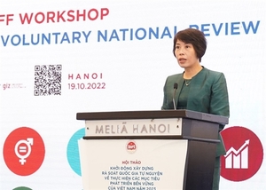 Workshop examining Viet Nam's implementation of SDGs opens