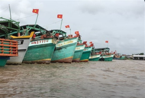 Viet Nam making utmost efforts to tackle IUU fishing: Deputy PM