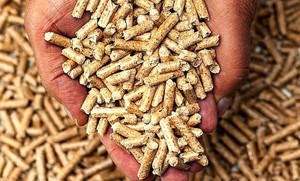 Viet Nam's wood pellet exports can fetch US$1 billion in 2023: specialist