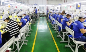 Viet Nam's nation brand value up 11 per cent