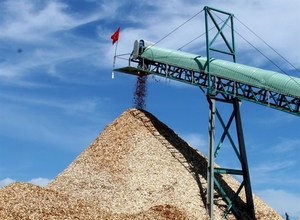 Wood pellet industry needs sustainable raw material areas for export expansion