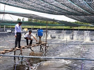 Ca Mau focuses on clean agricultural products