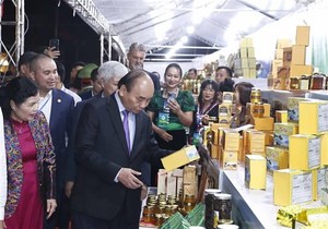 Great potential for Viet Nam to develop billion-dollar ginseng industry: President