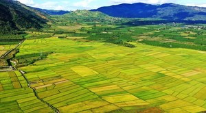 Viet Nam invests more in Central Highlands