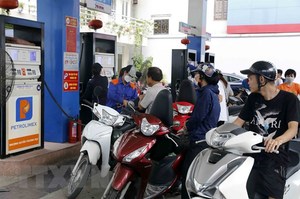 Finance ministry proposes schemes for fuel environmental tax next year
