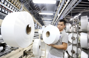 Viet Nam’s exports to Germany up 30.5% in 10 months