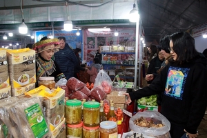 Fair on trade and industry underway in Nam Dinh