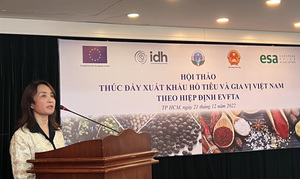 Pepper producers urged to further improve export capacity