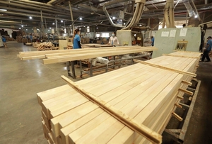Viet Nam strives to be global processing center of export timber