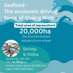 Seafood - the economic driving force of Quang Ninh
