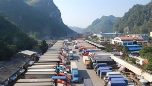 Lang Son temporarily stops receiving trucks carrying fresh fruit for export