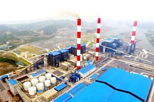 Thermal power businesses report contradictory earning results