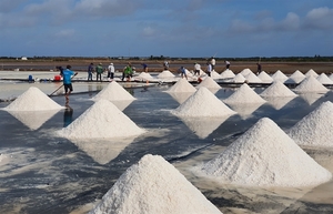 Viet Nam salt industry must adapt: official