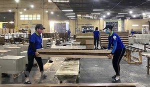 VN targets $20 billion in timber exports by 2025