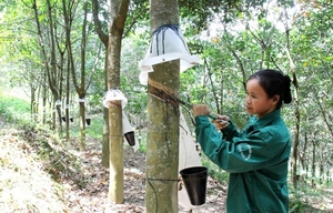 Mixed fortunes for rubber industry