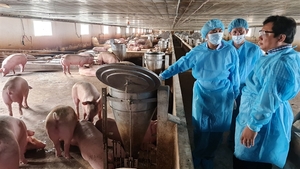 Russia-Ukraine crisis hits local livestock industry
