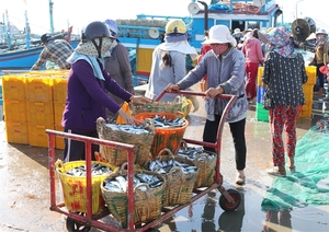Ninh Thuan fights illegal fishing to boost sustainable maritime economy