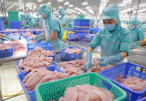 New Chinese registration regulations challenge Vietnamese exporters