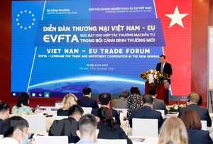 European firms' confidence in VN highest since last COVID outbreak