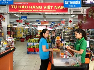 Viet Nam should prioritise development of domestic market: experts