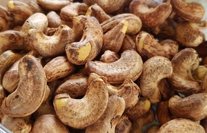 Viet Nam should prioritise value added cashew products for EU market