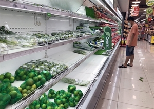 Organic vegetables becoming popular in HCM City