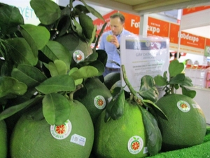 Viet Nam shows potential in US fruit exports
