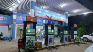 Massive counterfeit gasoline ring busted in Ba Ria - Vung Tau, company director arrested