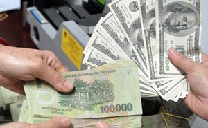 Central bank sold roughly $7 billion to stabilise forex market