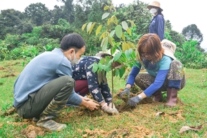 Manulife Vietnam eyes a sustainable future with ‘Customer Forests’