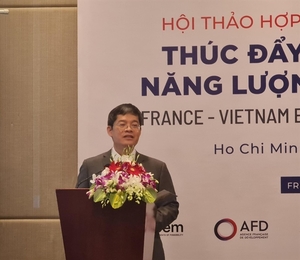French electricity companies to work with VN for energy transition: conference