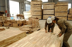 US extends duty evasion investigation into plywood from Viet Nam