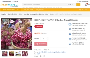 Soc Trang teaching small businesses to sell produce online