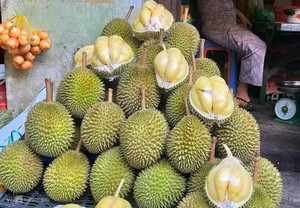 Binh Phuoc preparing durian farming area codes to meet Chinese requirements