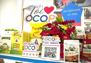 Soc Trang Province plans boost to ‘one commune-one product’ programme