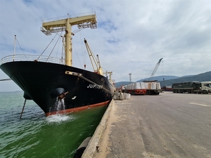 New-generation FTAs have postive effects on Binh Dinh's exports