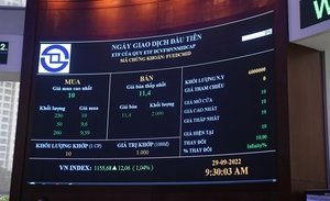 Trading in tight range ahead of Tet holidays