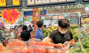 Supermarkets, traditonal markets gradually resume normal operations amid abundant supply