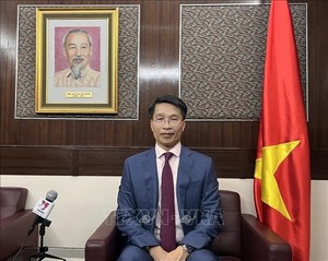 Hong Kong firms seek more cooperation opportunities in Viet Nam