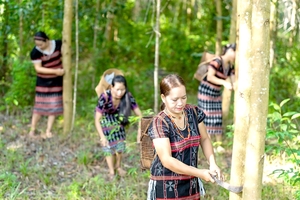 Women can do what men do, protecting the forest