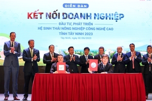 Tây Ninh to prioritise FDI in agriculture sector