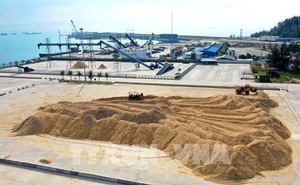 Wood pellet, wood chip exports – a bright spot: official