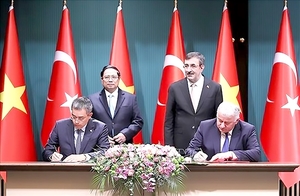 Vietnamese, Turkish national flag carriers cooperate on goods transport