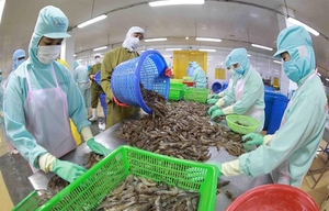 DOC requested to conduct anti-subsidy probe into Vietnam’s frozen warmwater shrimp