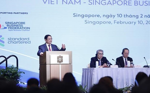 Prime Minister attends Viet Nam – Singapore business forum