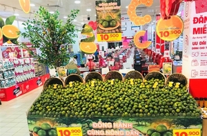 Mekong delta mobilises to support miscalculating king orange farmers with a glut