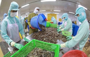 Seafood firms look to second quarter for exports to recover