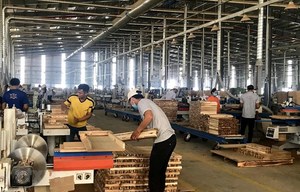 Viet Nam leads Southeast Asia in wooden furniture exports to Australia