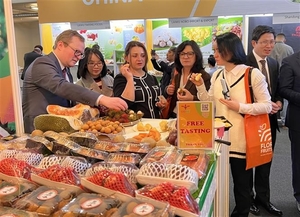 Vietnamese fruits promoted at Berlin expo